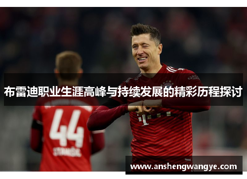 布雷迪职业生涯高峰与持续发展的精彩历程探讨