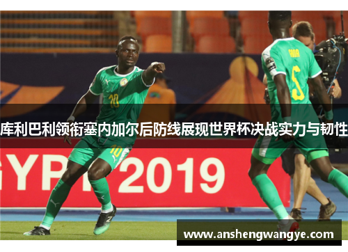 库利巴利领衔塞内加尔后防线展现世界杯决战实力与韧性