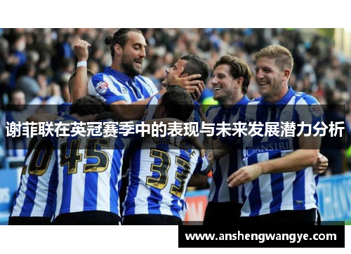 谢菲联在英冠赛季中的表现与未来发展潜力分析