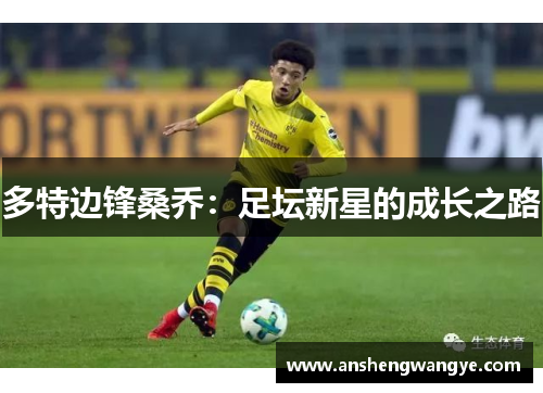 多特边锋桑乔：足坛新星的成长之路